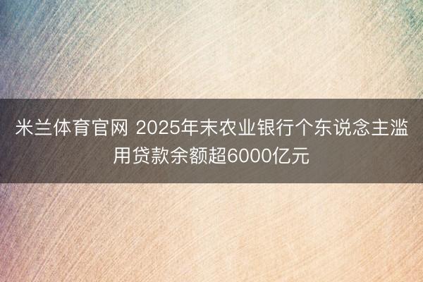 米兰体育官网 2025年末农业银行个东说念主滥用贷款余额超6000亿元