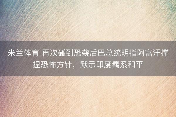 米兰体育 再次碰到恐袭后巴总统明指阿富汗撑捏恐怖方针，默示印度羁系和平