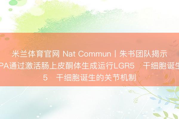 米兰体育官网 Nat Commun丨朱书团队揭示肠菌代谢物IPA通过激活肠上皮酮体生成运行LGR5⁺干细胞诞生的关节机制