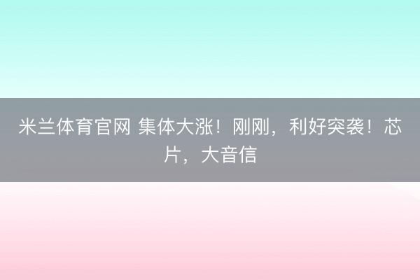 米兰体育官网 集体大涨!刚刚,利好突袭!芯片,大音信