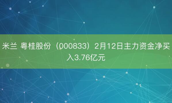 米兰 粤桂股份(000833)2月12日主力资金净买入3.76亿元