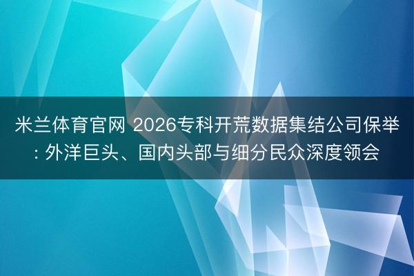 米兰体育官网 2026专科开荒数据集结公司保举: 外洋巨头、国内头部与细分民众深度领会