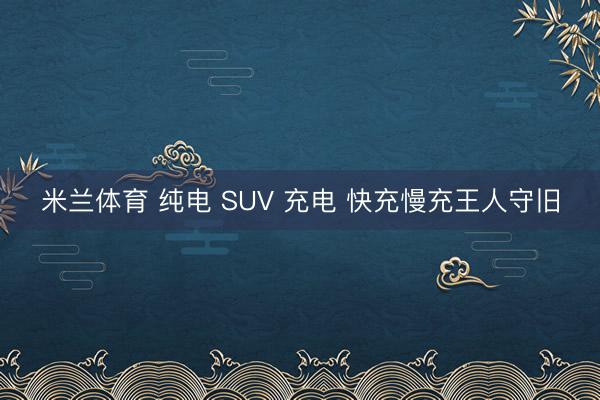 米兰体育 纯电 SUV 充电 快充慢充王人守旧
