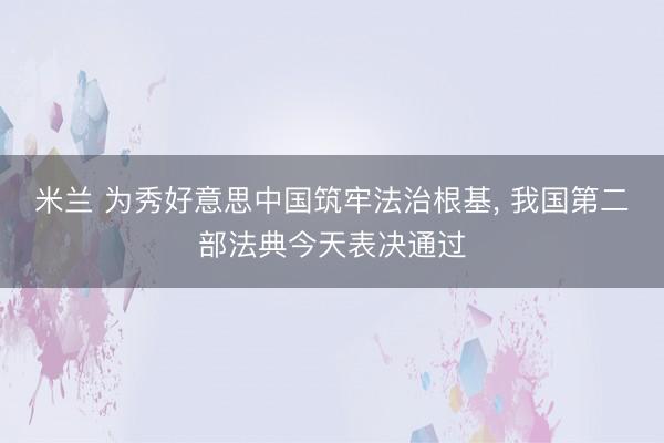 米兰 为秀好意思中国筑牢法治根基, 我国第二部法典今天表决通过