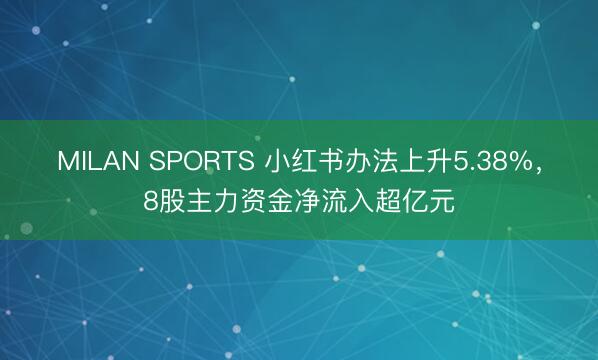 MILAN SPORTS 小红书办法上升5.38%,8股主力资金净流入超亿元