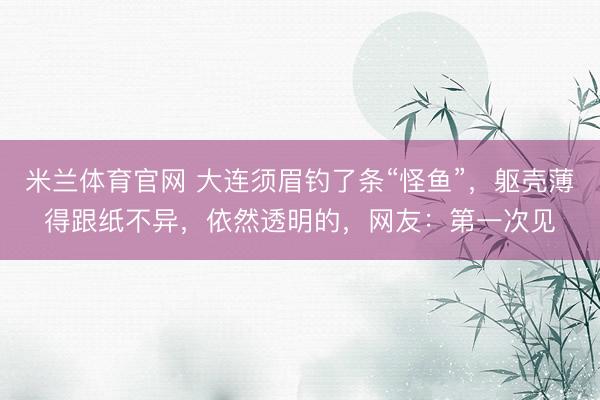 米兰体育官网 大连须眉钓了条“怪鱼”，躯壳薄得跟纸不异，依然透明的，网友：第一次见