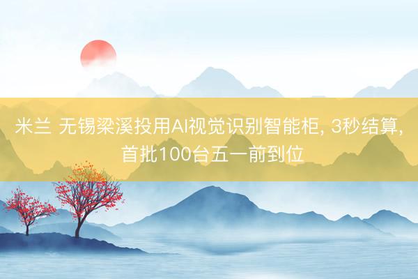 米兰 无锡梁溪投用AI视觉识别智能柜， 3秒结算， 首批100台五一前到位