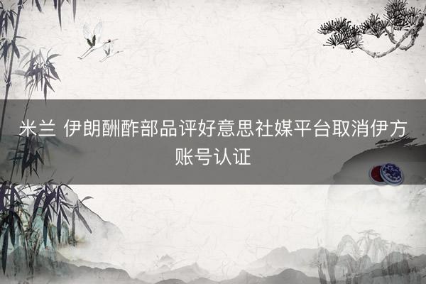 米兰 伊朗酬酢部品评好意思社媒平台取消伊方账号认证