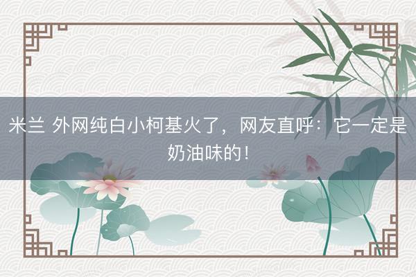 米兰 外网纯白小柯基火了，网友直呼：它一定是奶油味的！